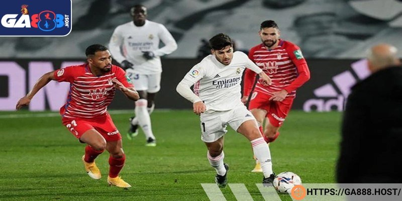 Thông tin lực lượng tác động nhận định