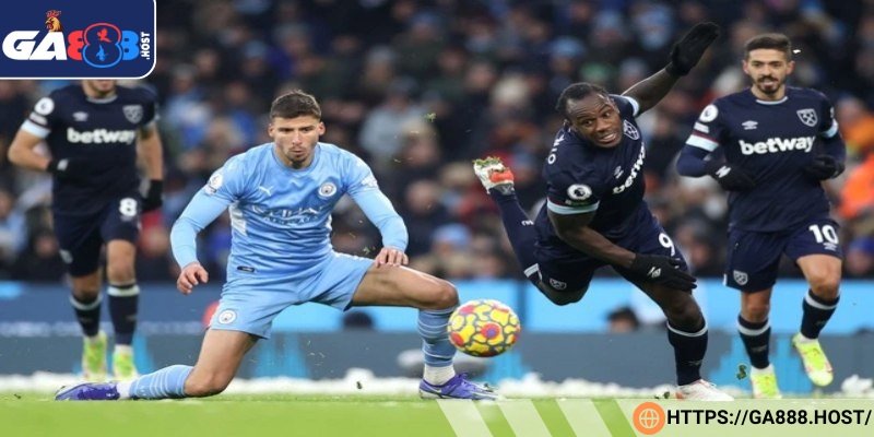 Nên tham khảo thêm thông tin