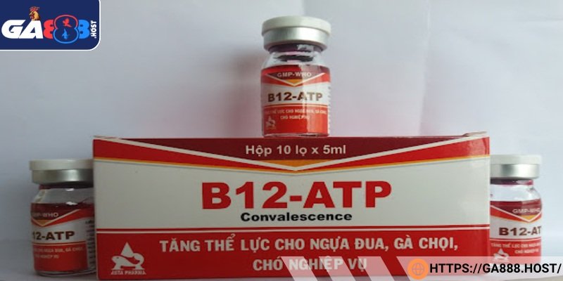 Thuốc tăng lực B12, vitamin tổng hợp
