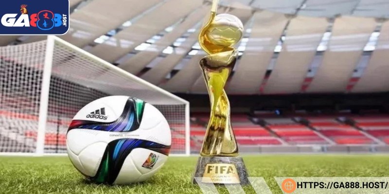 Bạn hãy cân nhắc chọn môn và trận đấu yêu thích