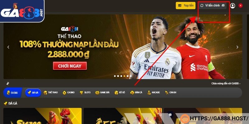 Người chơi kiểm tra số dư khả dụng của mình