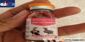 Thuốc tăng lực dành cho gà đá cung cấp cho chiến kê nhiều vitamin 
