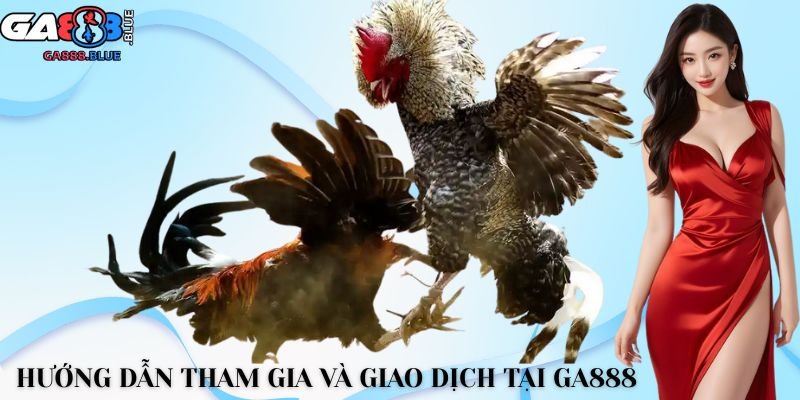 Hướng dẫn tham gia và giao dịch tại GA888