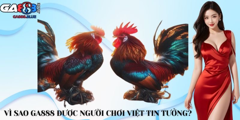 Vì sao GA888 được người chơi Việt tin tưởng?